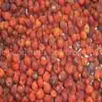 iqf wild rose hip