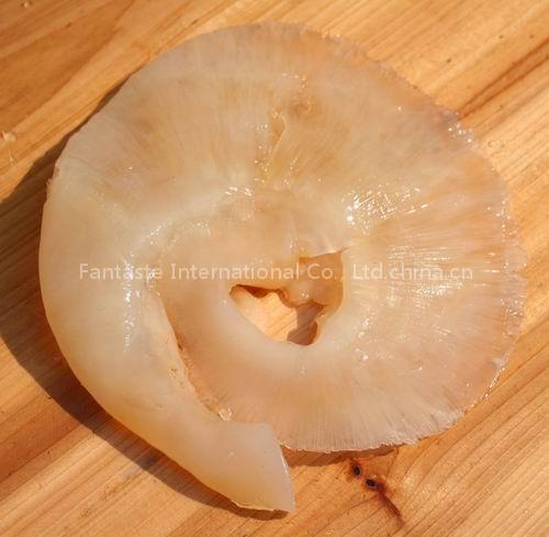 Instant Frozen Shark Fin (Ready to use)
