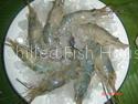 Chilled/Fresh Prawn