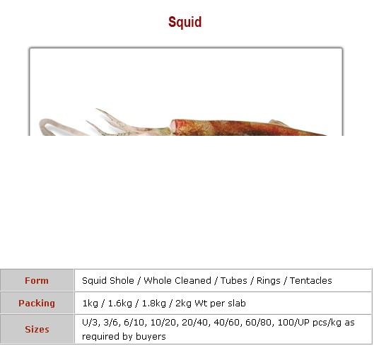 Squids