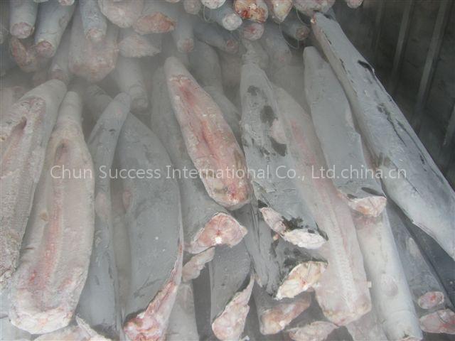 Seafrozen Blue Shark DWT , belly flap off for sell