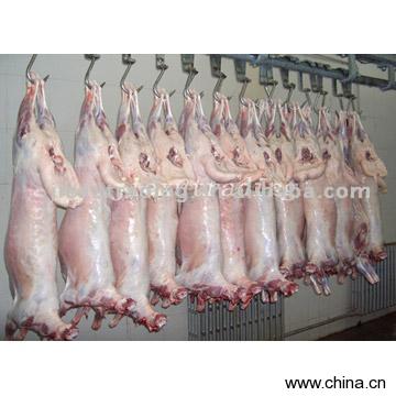 Lamb Carcass