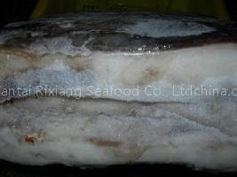 FROZEN SEAFOOD GIANT SQUID FILLET SKIN-ON (SKYPE yatou21170)