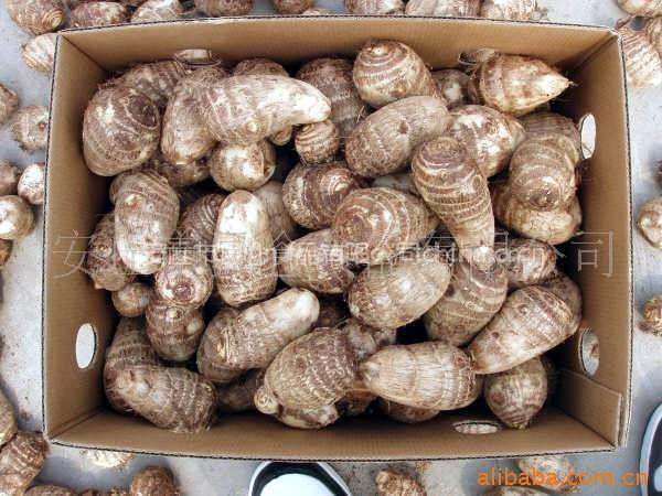 Fresh Taro
