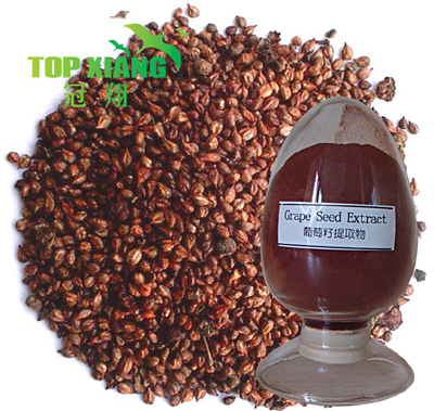 Grape Seed P.E.