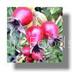 Rose hip powder(sales22 at lgberry dot com dot cn)