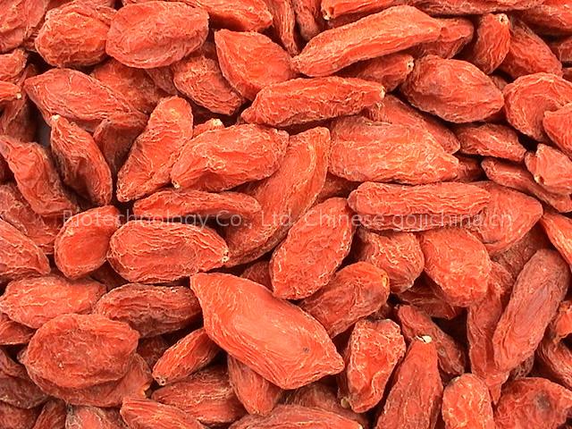 Chinese goji