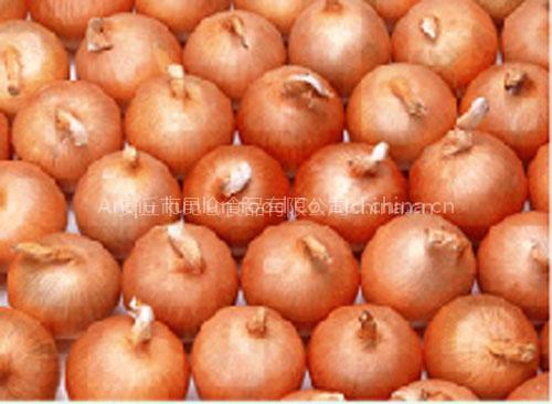 Onion