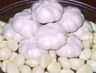 white Garlic