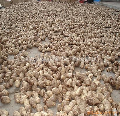 Air-dry Taro