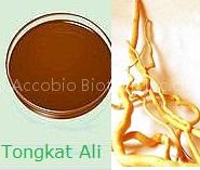 Tongkat Ali Extract