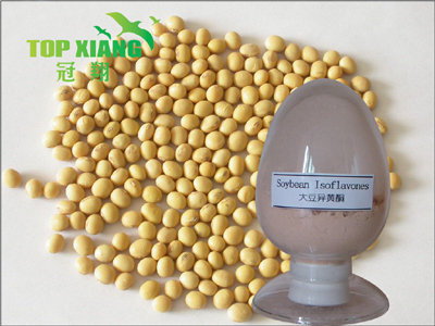 Soybean P.E.