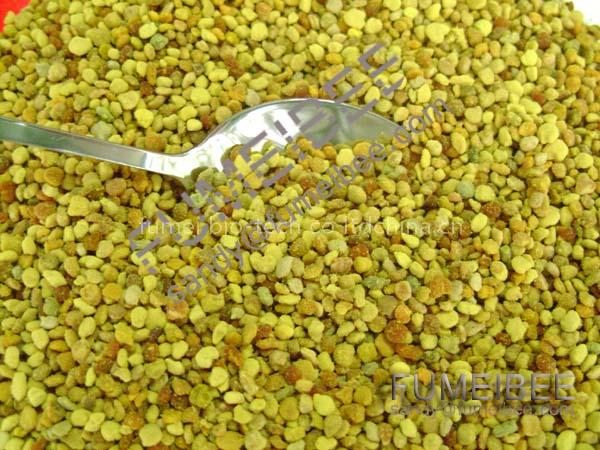 mixed bee pollen