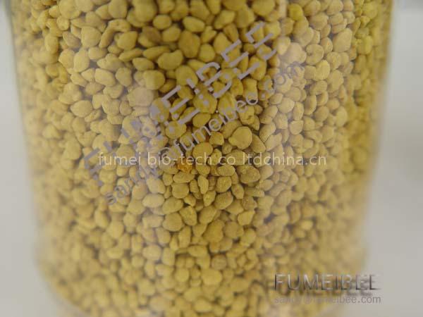sunflower bee pollen