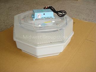 ELECTRICAL THERMOSTAT INCUBATOR