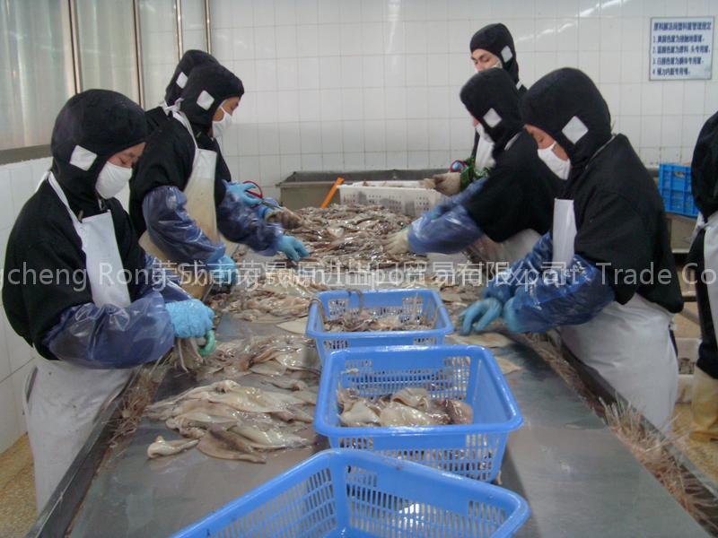 Sleeve-fish Processing Room