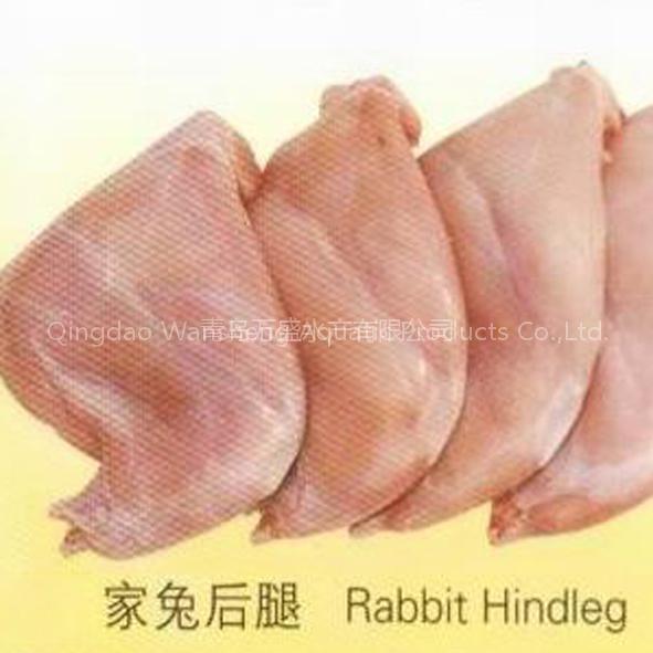 Rabbit Hindleg