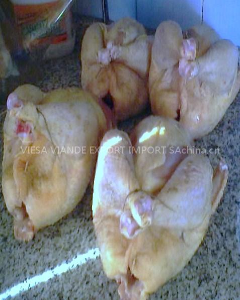 VIESA CHICKEN EXPORT IMPORT