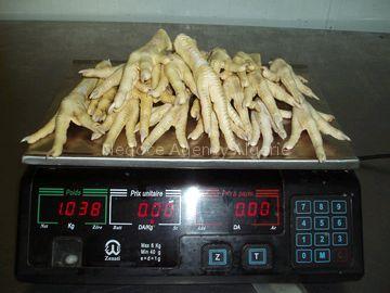 Halal Frozen chicken feet and paws un processed