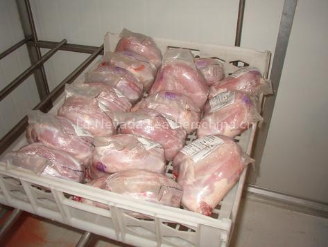 Meat rabbit