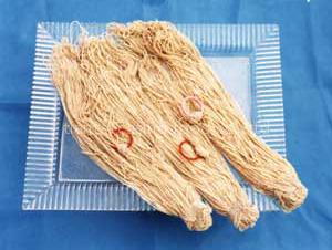 nature sheep casings