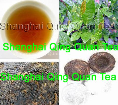 pu erh tea