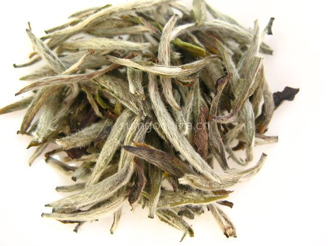 JASMINE SILVER NEEDLE