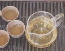 Gloden camellia tea
