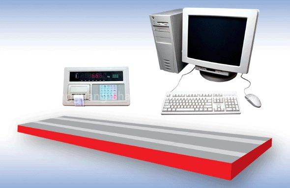 SCS Electronic Upper Ground Scale