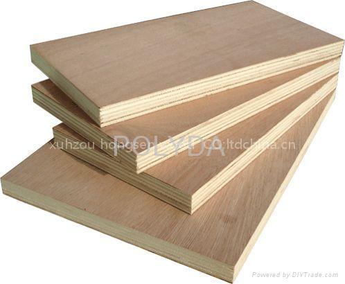 poplar plywood