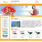 website design