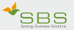 Synergy Business Solutions - Consulting Services
