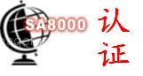 social audit consulting