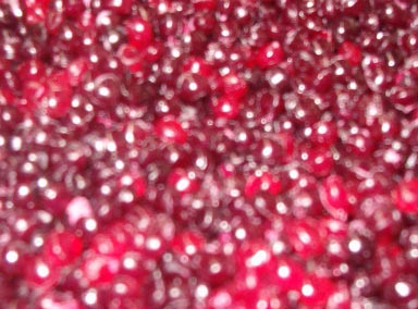 Mexico Polyestyrene