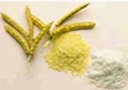 India Guar Gum Splits