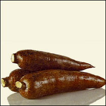 Costa Rica Cassava