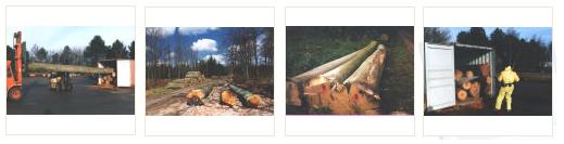 Denmark Logs