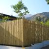 Bamboo Pole