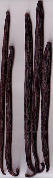 Indonesia Vanilla