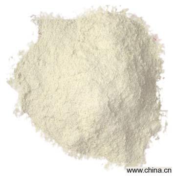 Rice Protein Meal (Specialties Export)