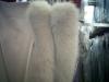 Italian High Fashion Apparel Stocks (Italy)